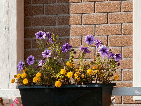 Фасадная плитка HAUBERK Античный кирпич